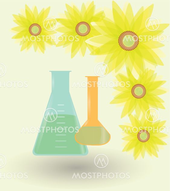 Sunflower-biofuel