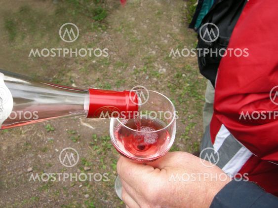 A glass of wine3