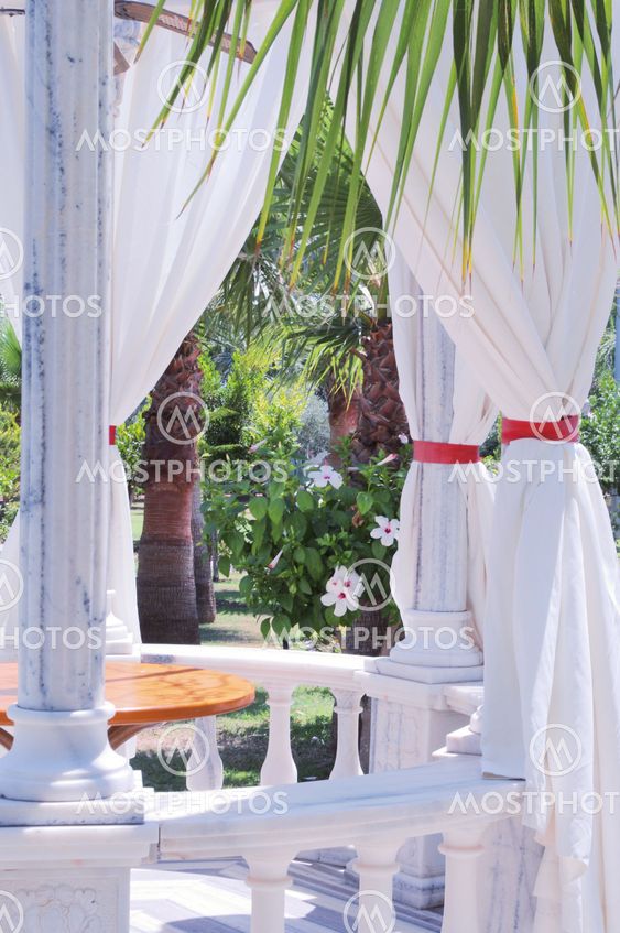 arbor among palm trees