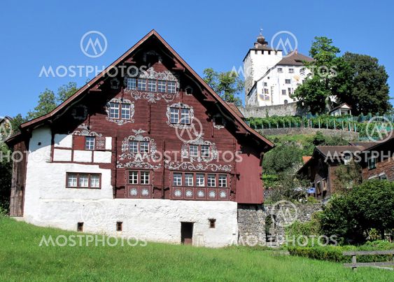 Snake House with castle