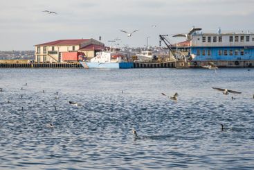 Sunset panorama of the port of Sozopol, Bulgaria