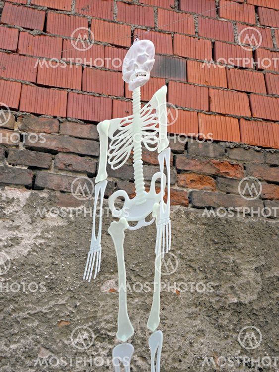 Funny shining skeletons at Halloween's instalation,...
