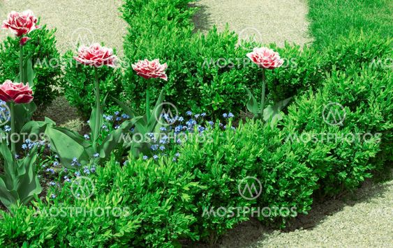 Geometrical flower bed