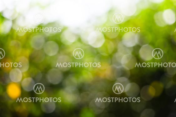 Defocused green lights
