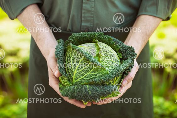 Farmer with kale