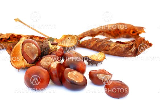 Chestnuts