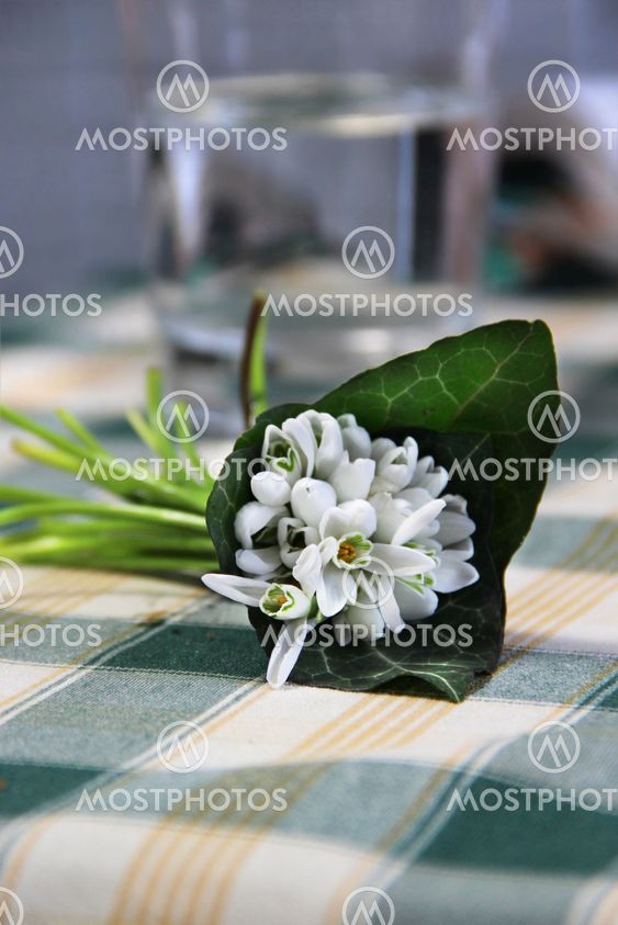 Snowdrops