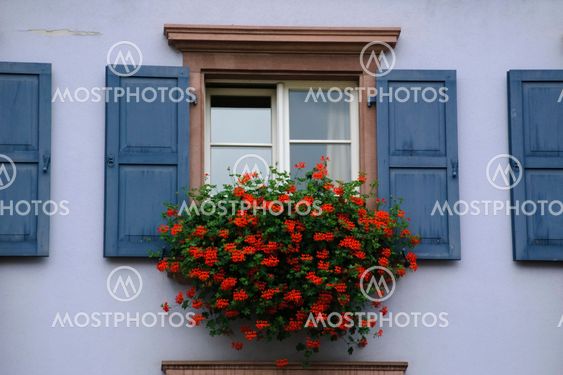 Window with blue shutters