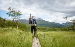 Man hiking on boardwalk to mountains