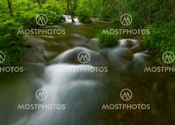 Stream in a dark forest.