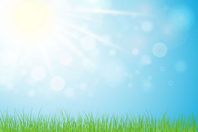 Sunny day, spring or summer nature background with grass...