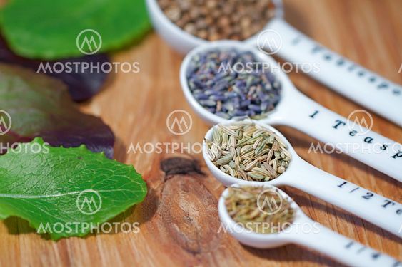 Herbs
