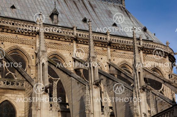 Notre dame cathedral, Paris, France