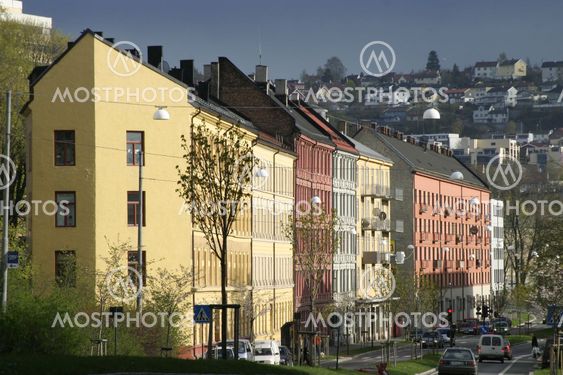 Tøyen Oslo Norway