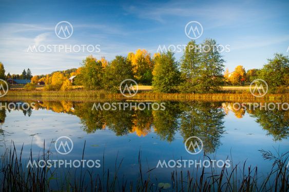 Calm water autumn nature reflection