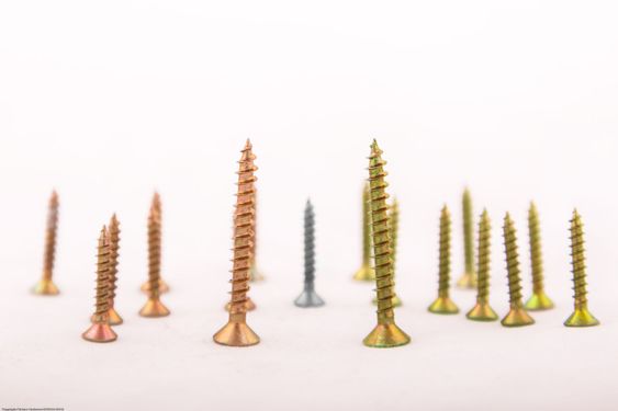 Batle of the screws