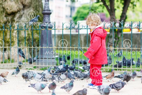 Cute little boy catching and playing with pigeons in city