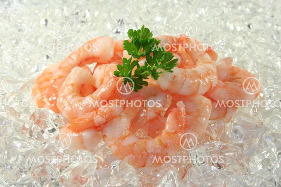 Shrimps