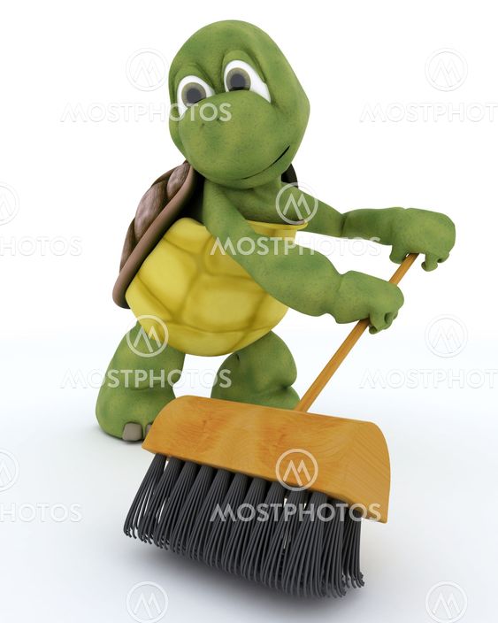 tortoise sweeping with a brush