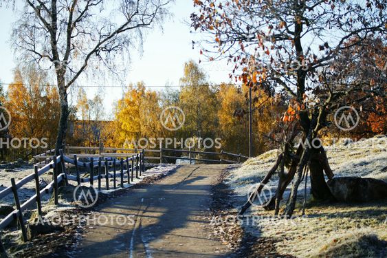 Autumn frost