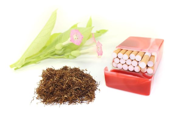 Tobacco with cigarettes case and blossoms