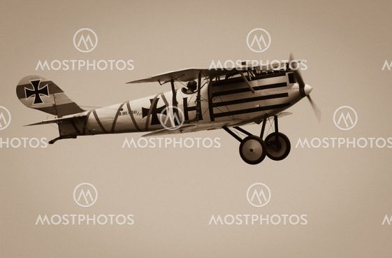 Pfalz D.III