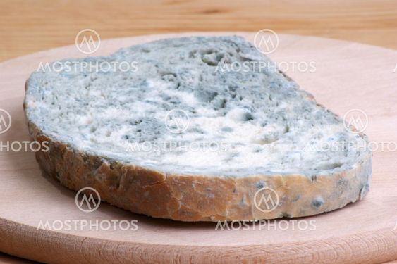 one slice mouldy bread on a timber board