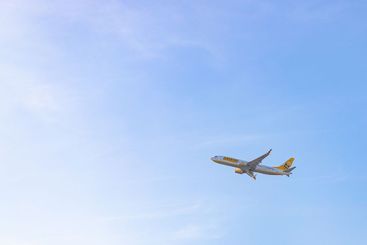 Buzz Plane Lifting Off