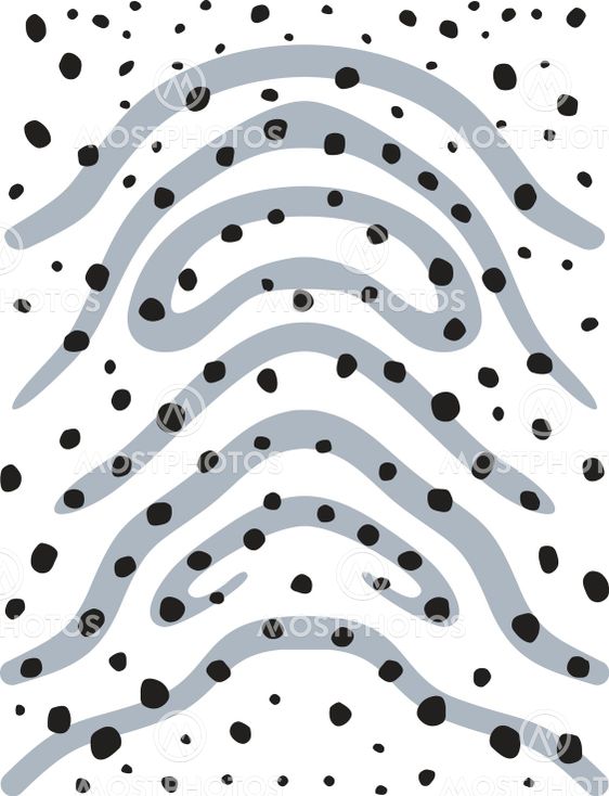 Background of Zebra Shark skin