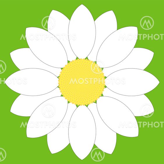 White Flower Icon
