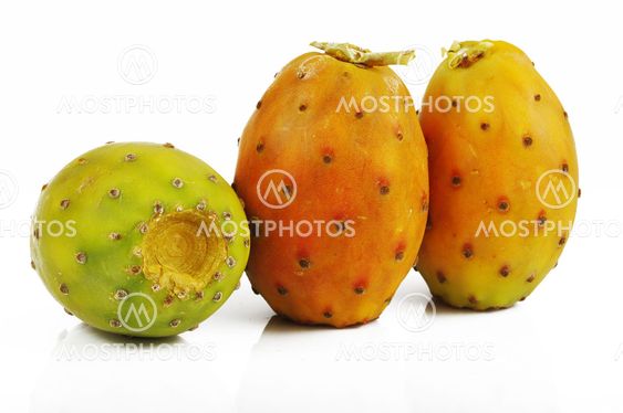 Prickly pear