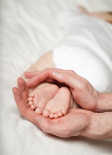 Little baby feets on parent hands on white