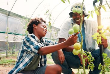 Dad, child and farming in greenhouse, learning and...