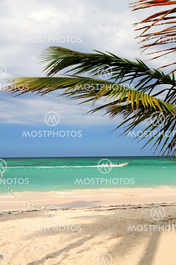 Tropical beach