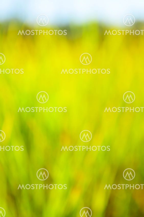 Green background