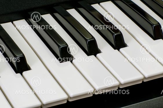 the keys of a musical instrument