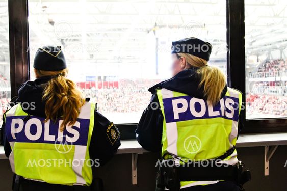 Policing in the hockey game