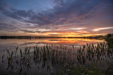 Evening landscape over lake water in southern tropical...