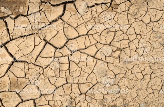 Natural pattern cracked mud.