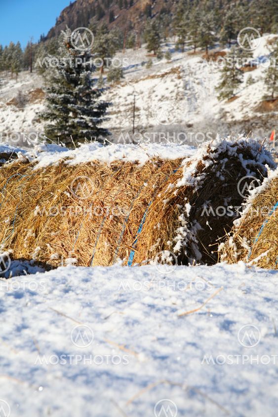 Round bales