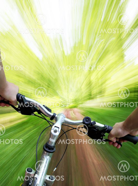 Mountain biking in the forest
