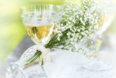 A glass of white wine