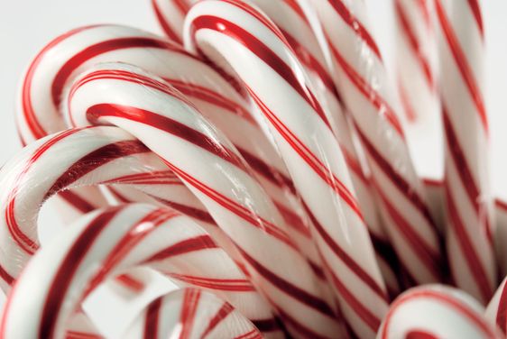 Candy Canes in Cup-Horizontal