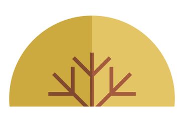 Minimalist Brown Tree Branches Against a Half-Golden...