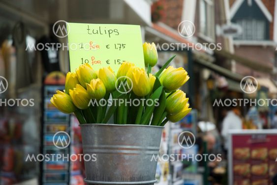 Bucket with wooden tulips
