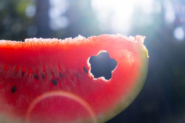 Summer seasonal food. Juicy red watermelon slice cut in...