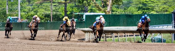 Horse Race Panorama