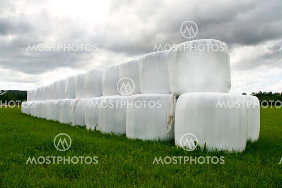 round bales