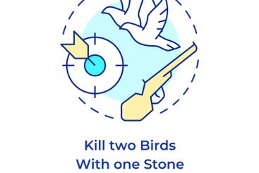 Kill two birds with one stone multi color concept icon