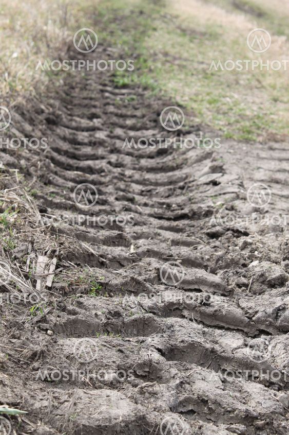 Tracks